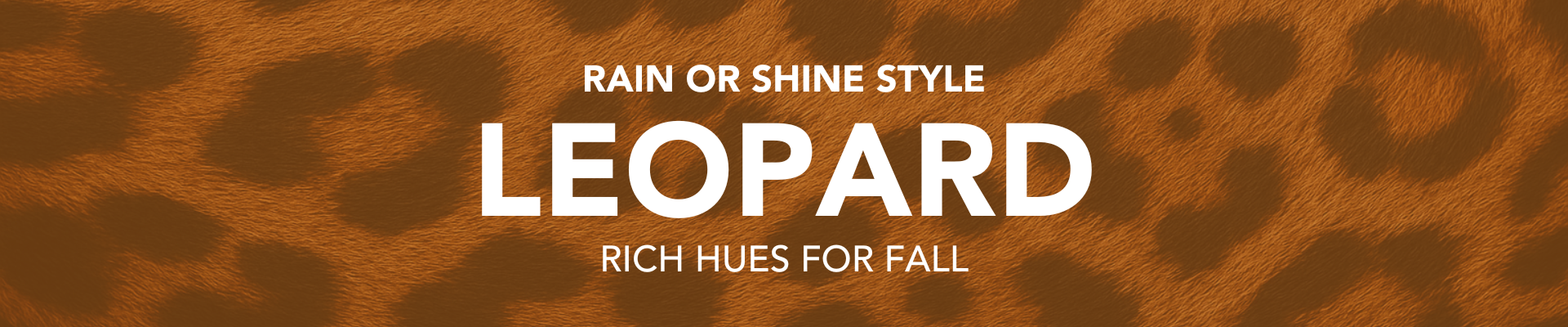 Leopard Collection Leopard Collection